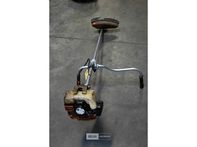 Bosmaaier - afbeelding 1 van  3