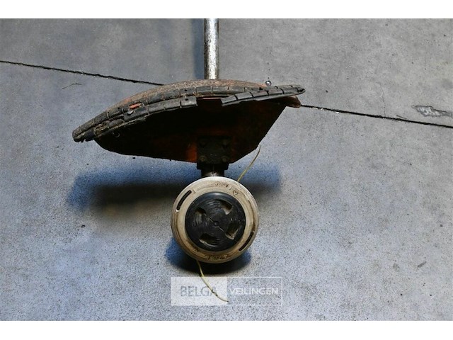 Bosmaaier - afbeelding 2 van  3