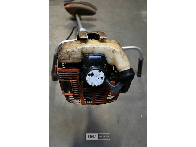 Bosmaaier - afbeelding 3 van  3