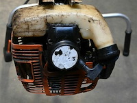 Bosmaaier - afbeelding 3 van  3