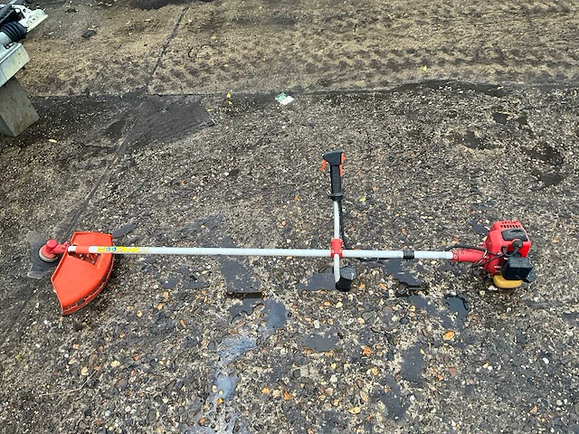 Bosmaaier - afbeelding 1 van  6