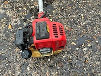 Bosmaaier - afbeelding 2 van  6