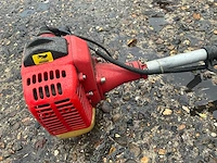 Bosmaaier - afbeelding 3 van  6