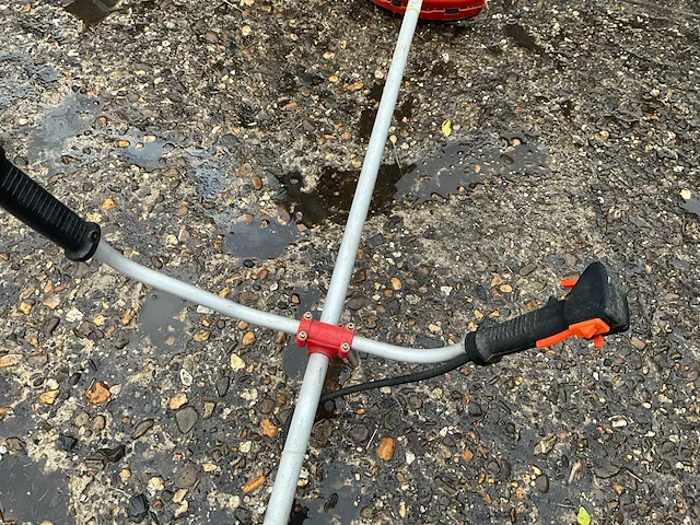 Bosmaaier - afbeelding 4 van  6