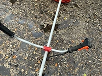 Bosmaaier - afbeelding 4 van  6