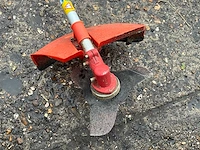 Bosmaaier - afbeelding 5 van  6