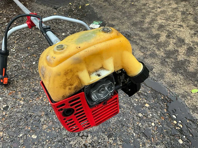 Bosmaaier - afbeelding 6 van  6