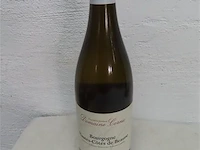 Bourgogne hautes-cotes de beaune 2009 n 00529 domaine cornu - afbeelding 1 van  3