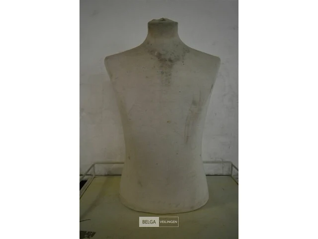 Bovenlichaam paspop h=60cm - afbeelding 1 van  3