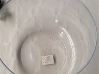 Bowl - afbeelding 2 van  2