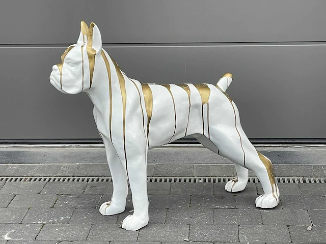 Boxer white trash gold - afbeelding 1 van  2