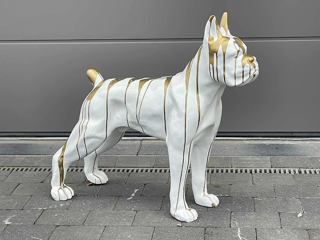 Boxer white trash gold - afbeelding 2 van  2