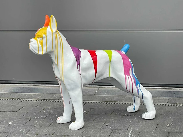 Boxer white trash - afbeelding 2 van  2
