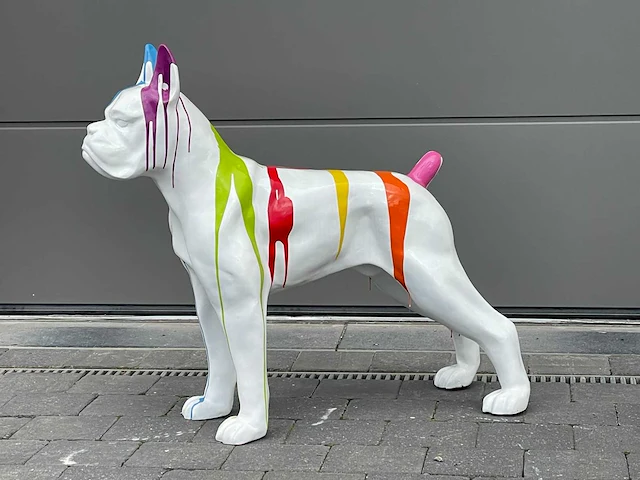 Boxer white trash - afbeelding 1 van  2