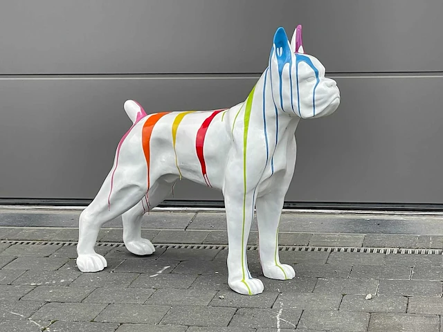 Boxer white trash - afbeelding 2 van  2