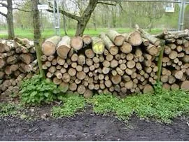 Brandhout provinciedomeinen west-vlaanderen