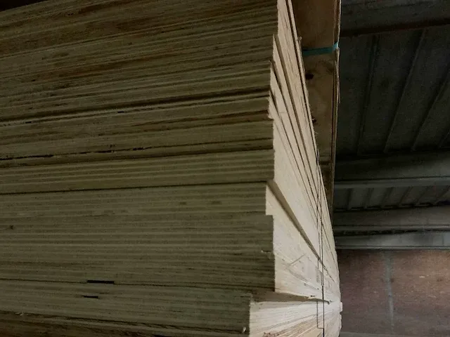Bratsk plywood oregon pak multiplex (14x) - afbeelding 4 van  5