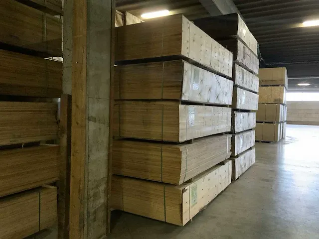 Bratsk plywood oregon pak multiplex (5x) - afbeelding 1 van  4