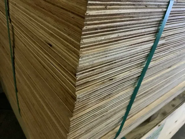 Bratsk plywood oregon pak multiplex (5x) - afbeelding 3 van  4