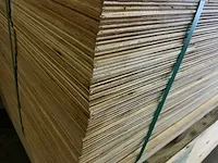 Bratsk plywood oregon pak multiplex (5x) - afbeelding 3 van  4