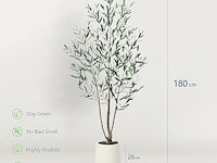 Brede nep olijfboom 180cm - afbeelding 2 van  4