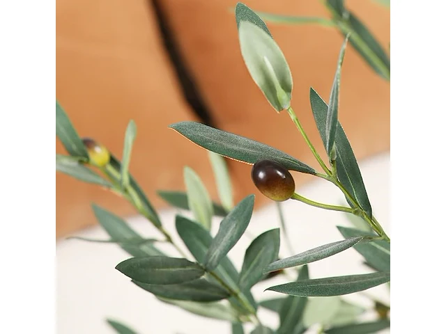 Brede nep olijfboom 180cm - afbeelding 3 van  4