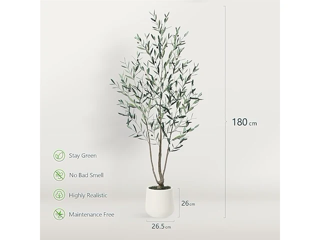 Brede nep olijfboom 180cm - afbeelding 2 van  4