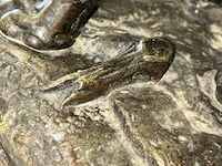 Bronzen beeld - afbeelding 6 van  9