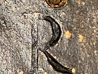 Bronzen beeld - afbeelding 6 van  6