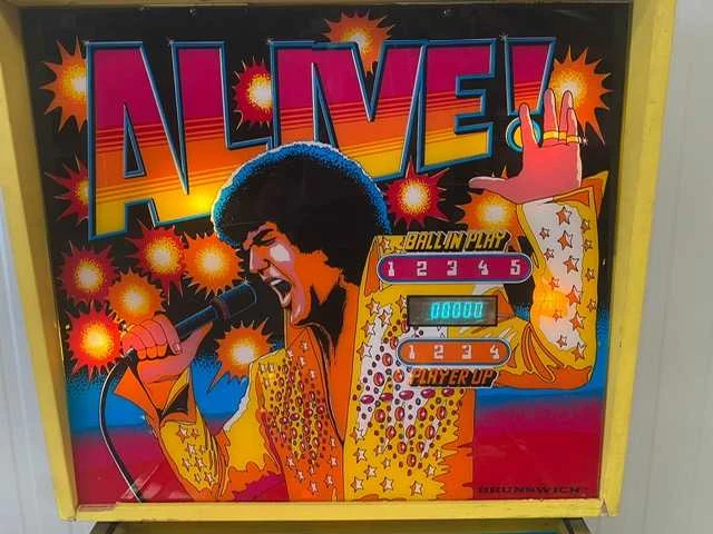 Brunswick - alive - flipperkast - afbeelding 1 van  8