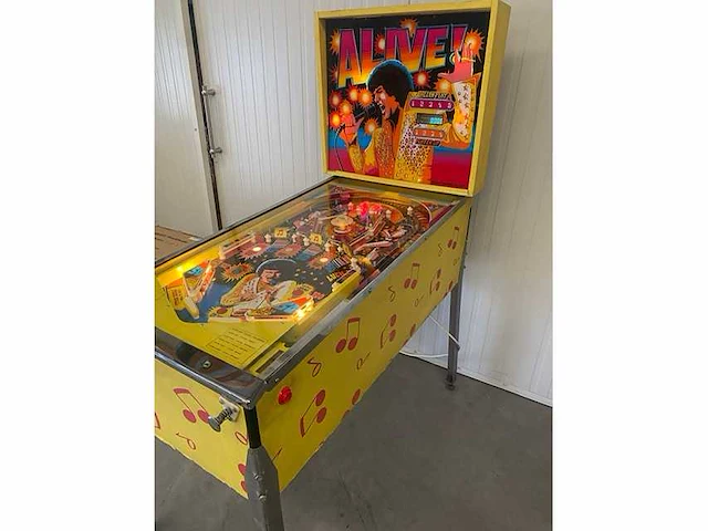 Brunswick - alive - flipperkast - afbeelding 4 van  8