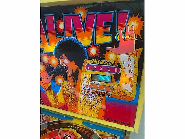 Brunswick - alive - flipperkast - afbeelding 7 van  8