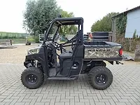 Buggy polaris