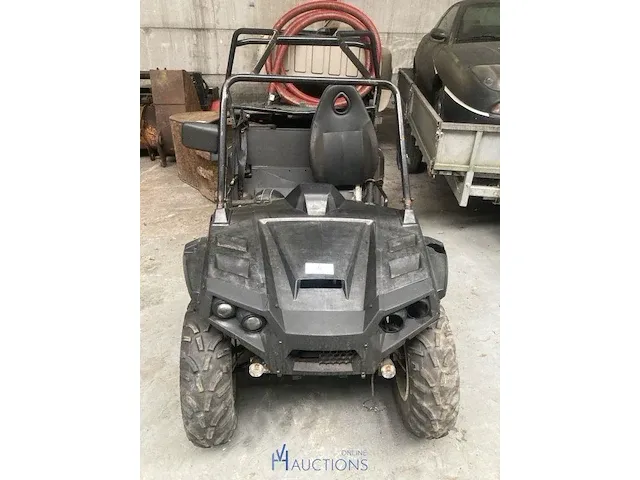 Buggy - afbeelding 1 van  6
