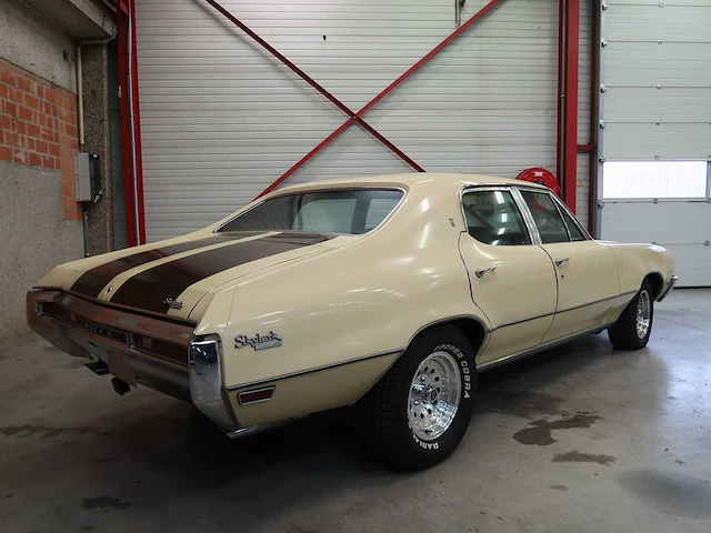 Buick veldleeuwerik - afbeelding 10 van  76