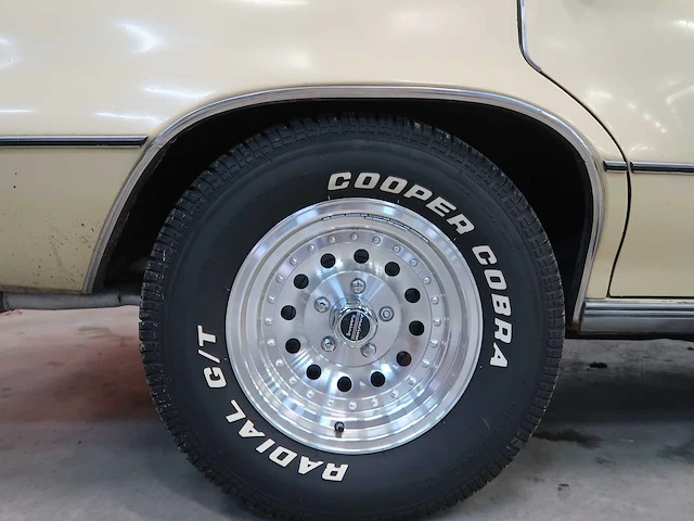 Buick veldleeuwerik - afbeelding 14 van  76