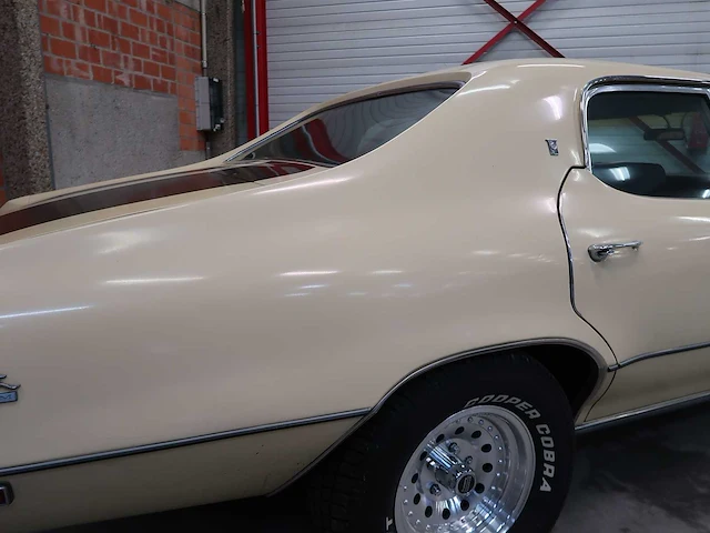 Buick veldleeuwerik - afbeelding 15 van  76