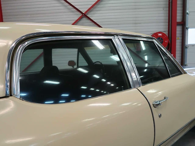 Buick veldleeuwerik - afbeelding 16 van  76