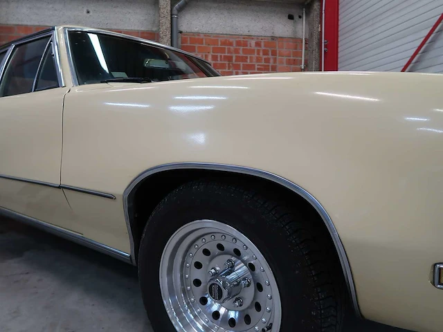 Buick veldleeuwerik - afbeelding 17 van  76