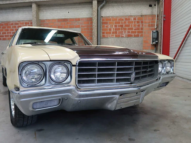 Buick veldleeuwerik - afbeelding 18 van  76