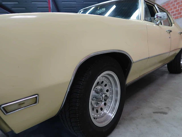 Buick veldleeuwerik - afbeelding 19 van  76