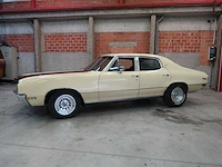 Buick veldleeuwerik - afbeelding 1 van  76