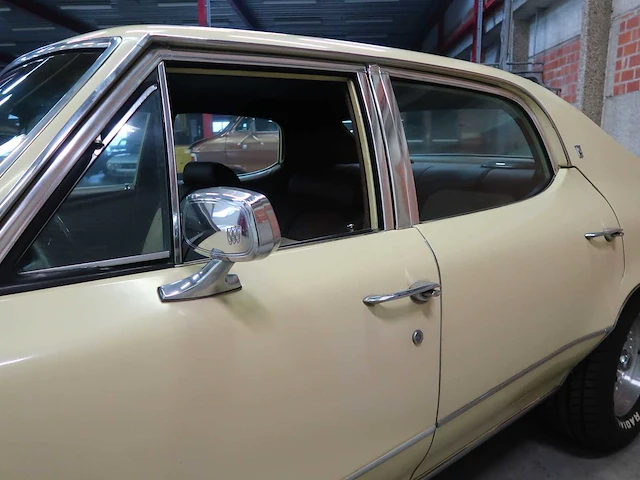Buick veldleeuwerik - afbeelding 20 van  76