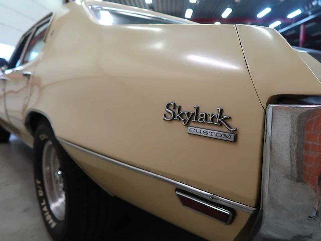 Buick veldleeuwerik - afbeelding 21 van  76