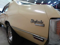 Buick veldleeuwerik - afbeelding 21 van  76