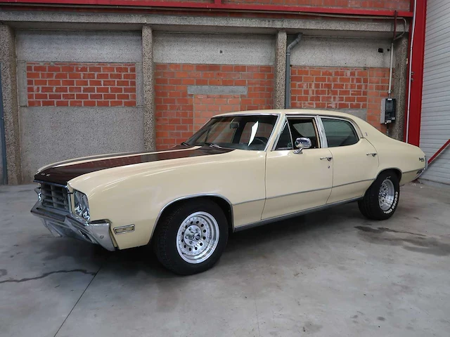 Buick veldleeuwerik - afbeelding 2 van  76