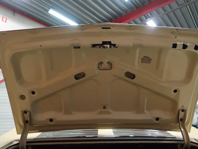 Buick veldleeuwerik - afbeelding 30 van  76