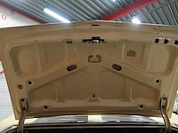 Buick veldleeuwerik - afbeelding 30 van  76