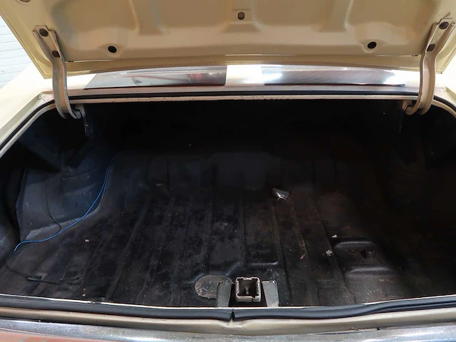 Buick veldleeuwerik - afbeelding 31 van  76