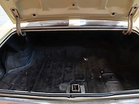 Buick veldleeuwerik - afbeelding 31 van  76